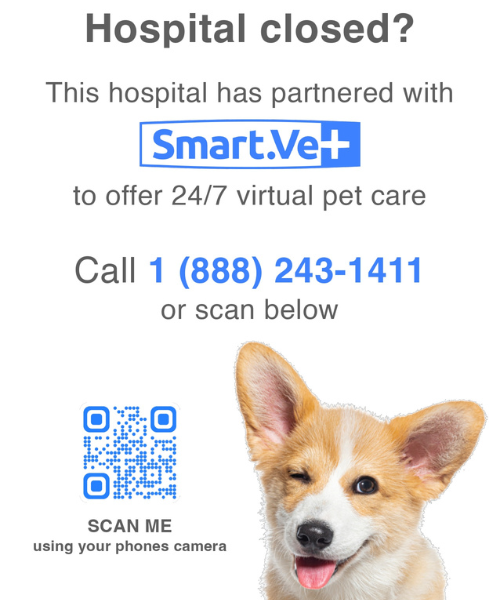 smartvet-advitsment