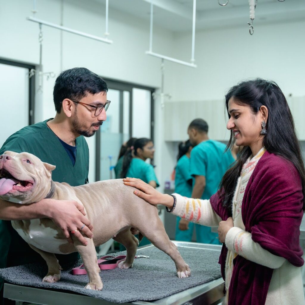 Veterinarian and owner with a dog during a wellness exam